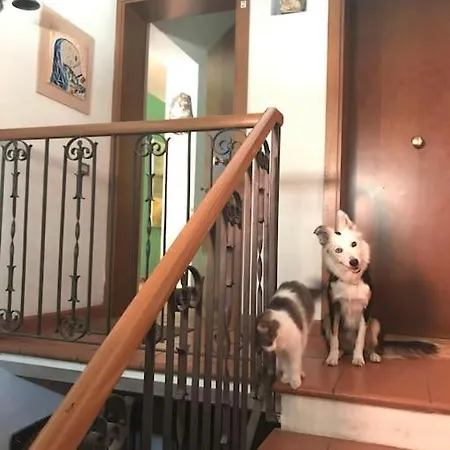 Monolocale A Modo Mio Apartment Bologna