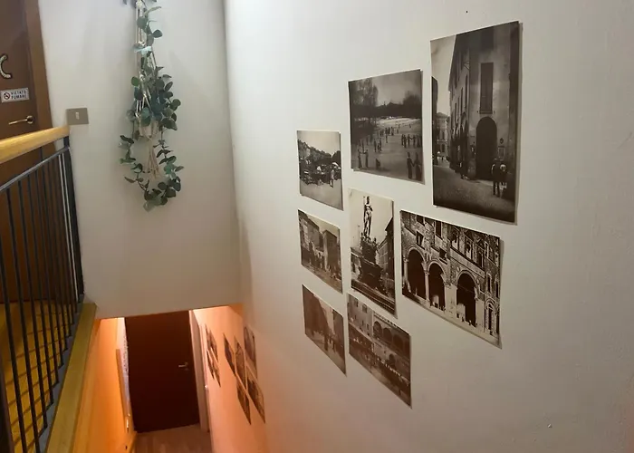 A Modo Mio - Monolocale - Zona Stadio Ospedale Maggiore *