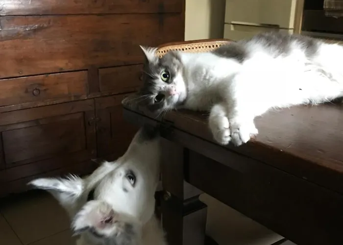 A Modo Mio - Monolocale - Zona Stadio Ospedale Maggiore Appartement *